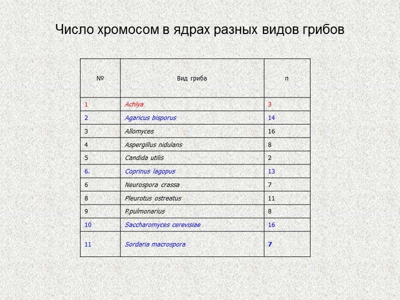 Число хромосом в ядрах разных видов грибов